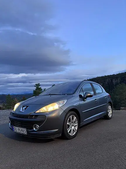 Peugeot 207 2008 photo 4
