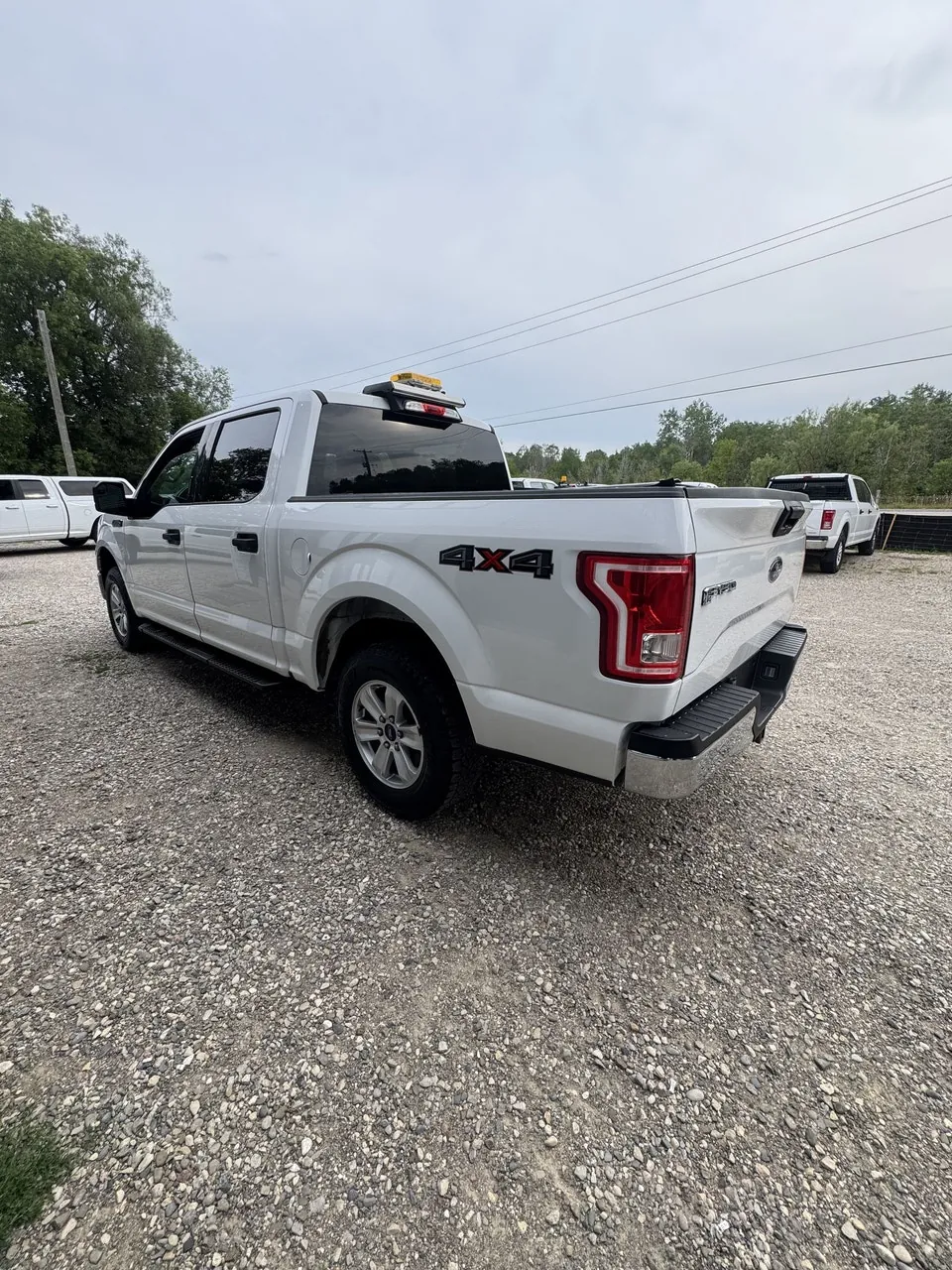 Ford F-150 2017 photo 4