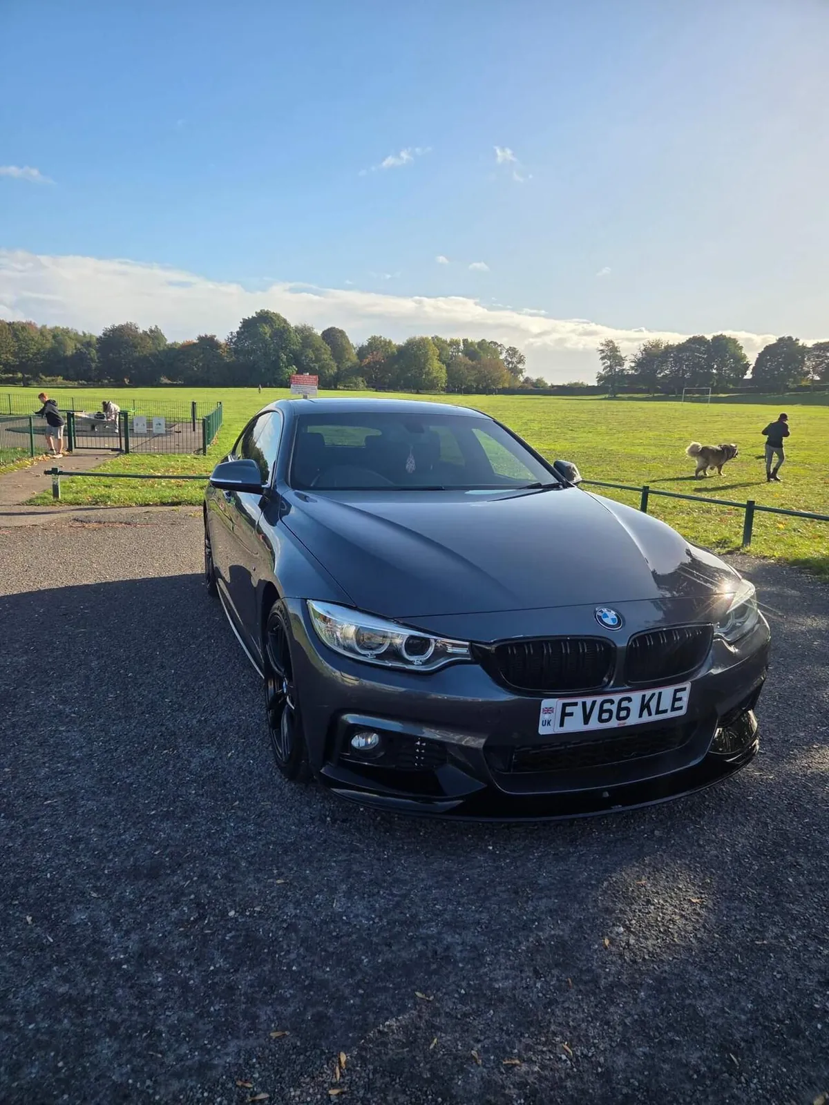 BMW 4 Series Gran Coupe