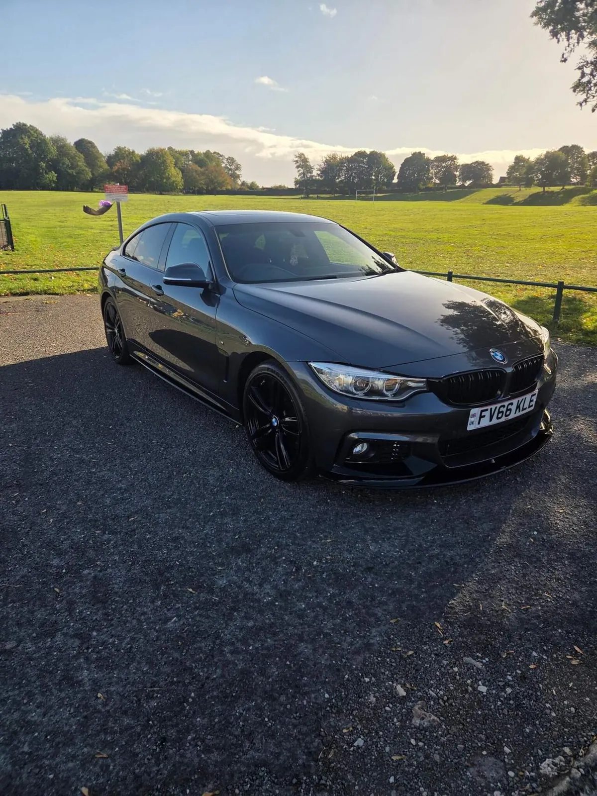 BMW 4 Series Gran Coupe 2016 photo 2
