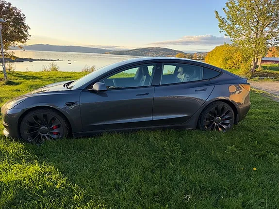 Tesla Model 3 2021 photo 3