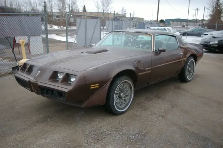 Pontiac Trans Am 1979 photo 3