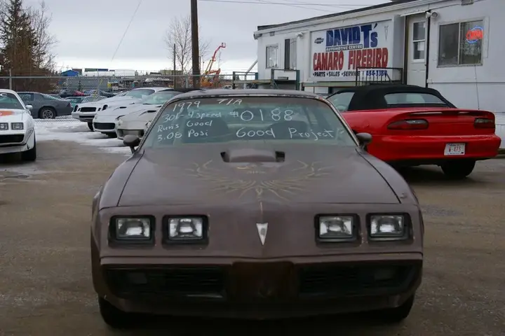 Pontiac Trans Am 1979 photo 2