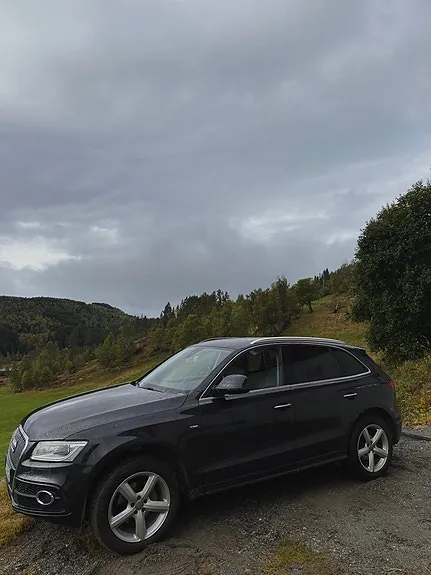 Audi Q5 2016 photo 5