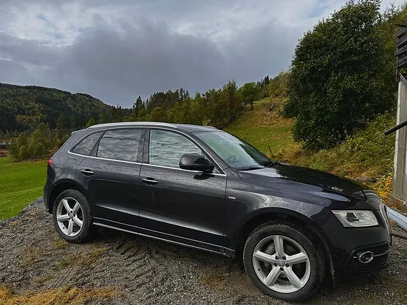 Audi Q5 2016 photo 3