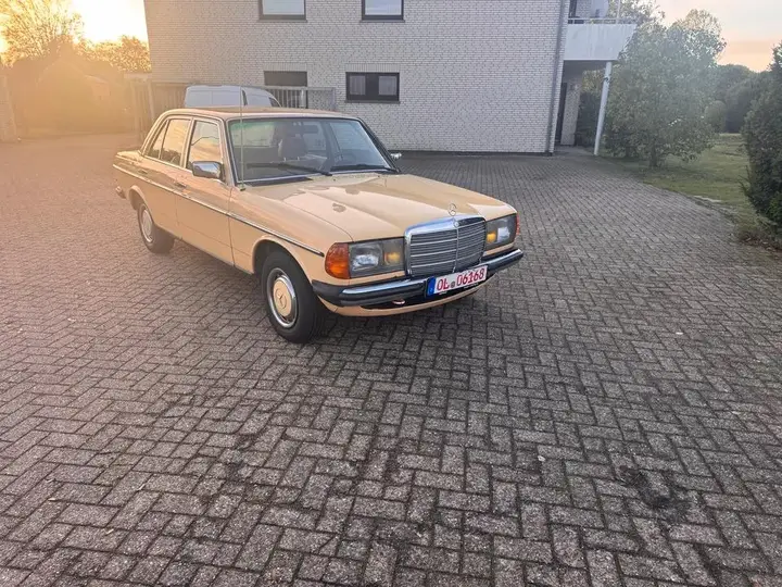 Mercedes-Benz W123