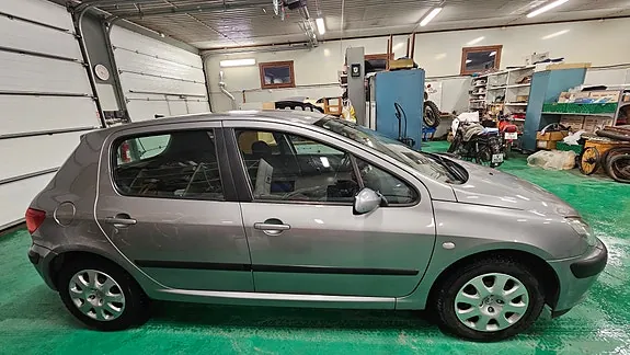 Peugeot 307 2004 photo 2