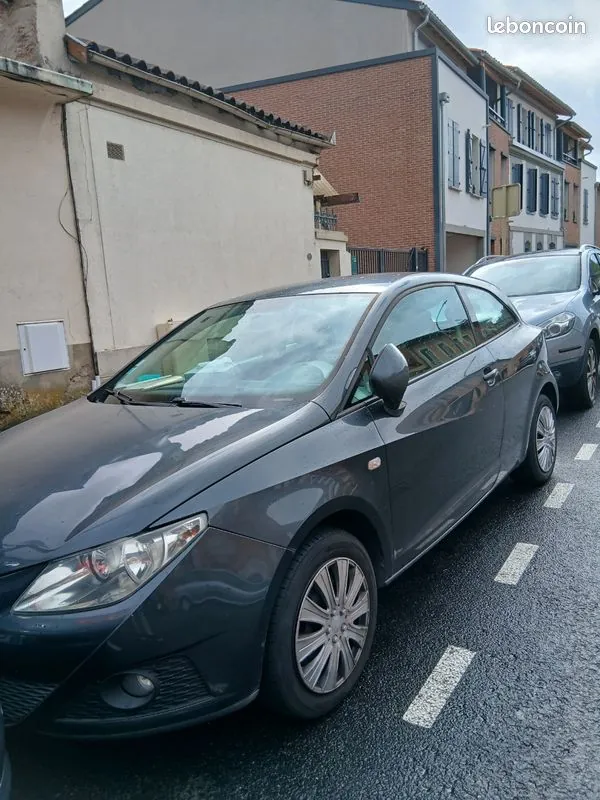 Seat Ibiza 2010 photo 3