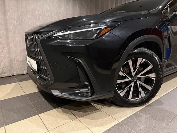 Lexus Nx450H+ 2022 photo 4