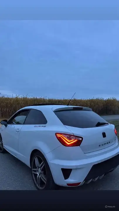 Seat Cupra 2013 photo 2