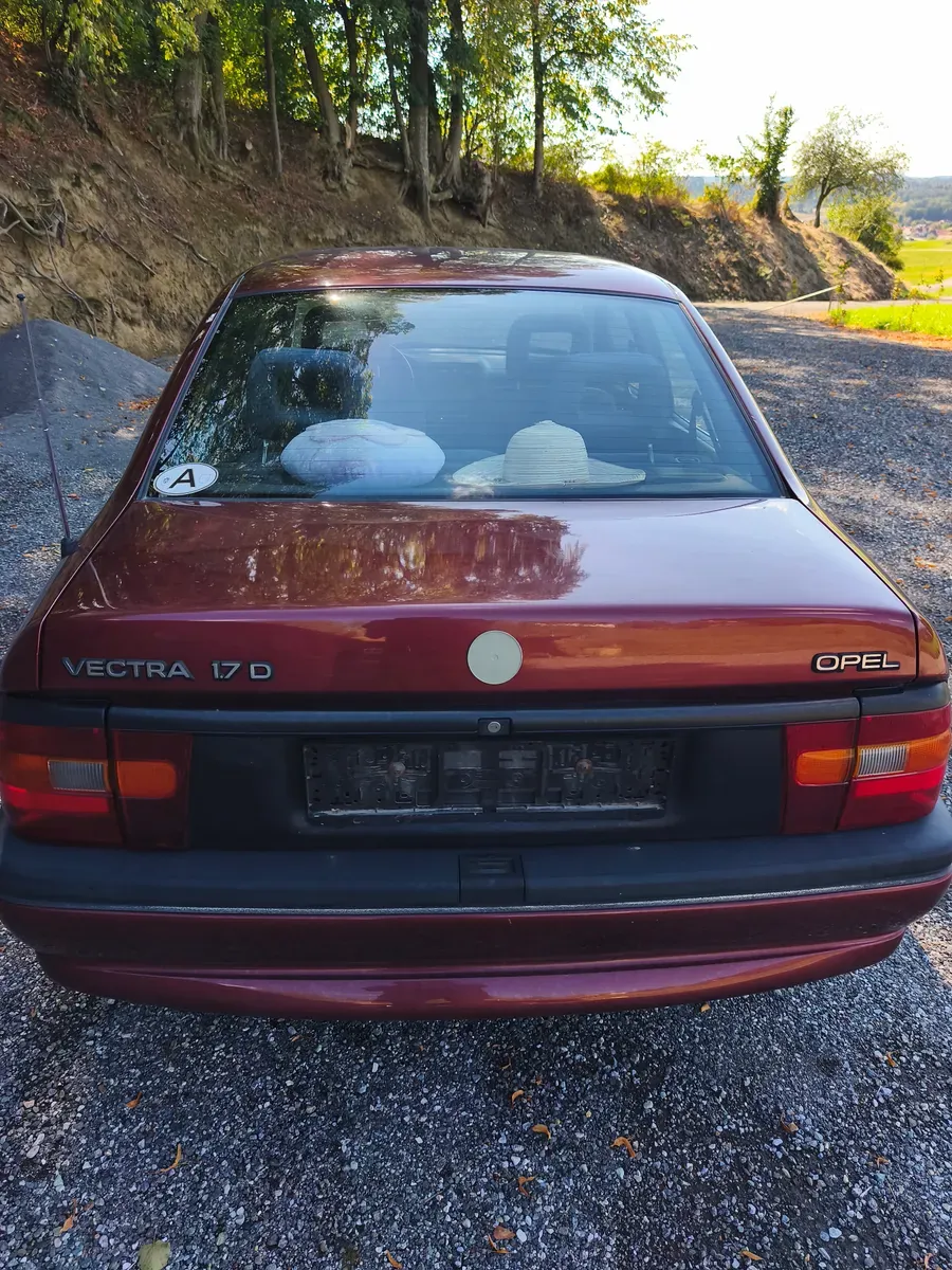 Opel Vectra 1994 photo 2