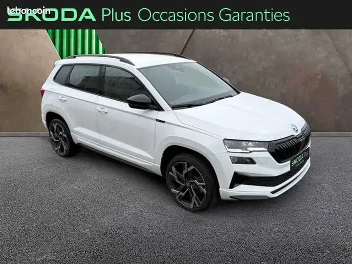 Skoda Karoq 2025 photo 4