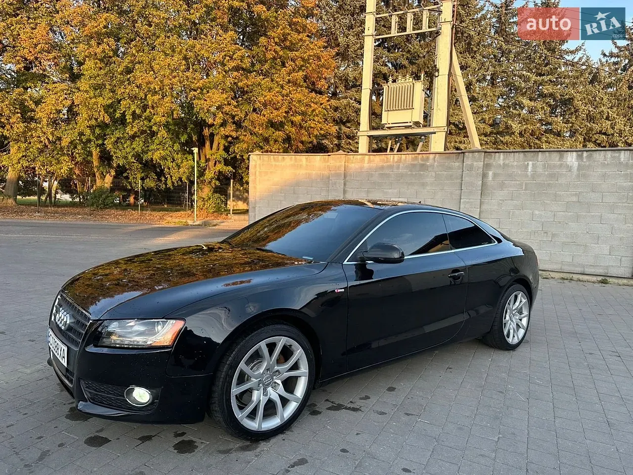 Audi A5 2010 photo 2