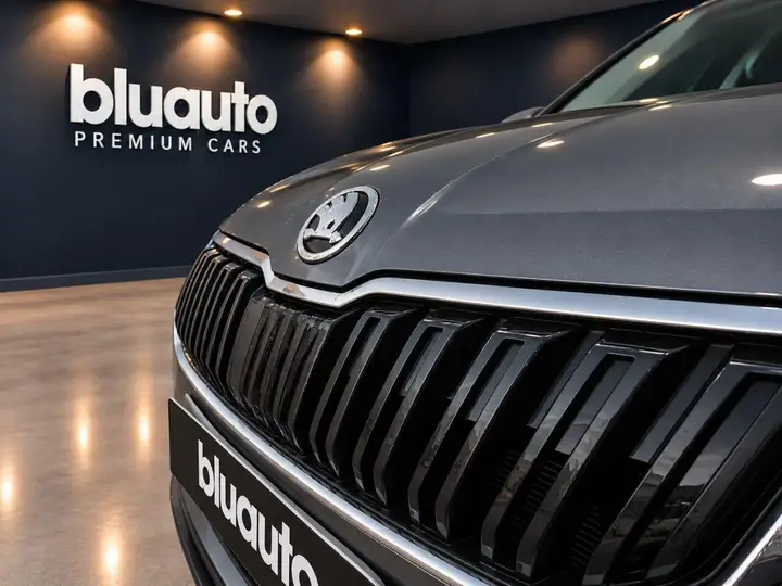 Skoda Karoq 2021 photo 4