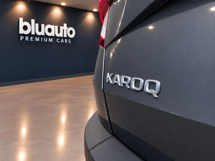 Skoda Karoq 2021 photo 5