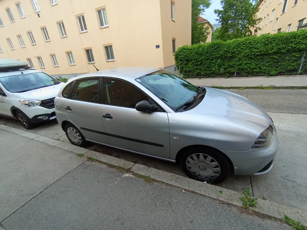 Seat Ibiza 2010 photo 2
