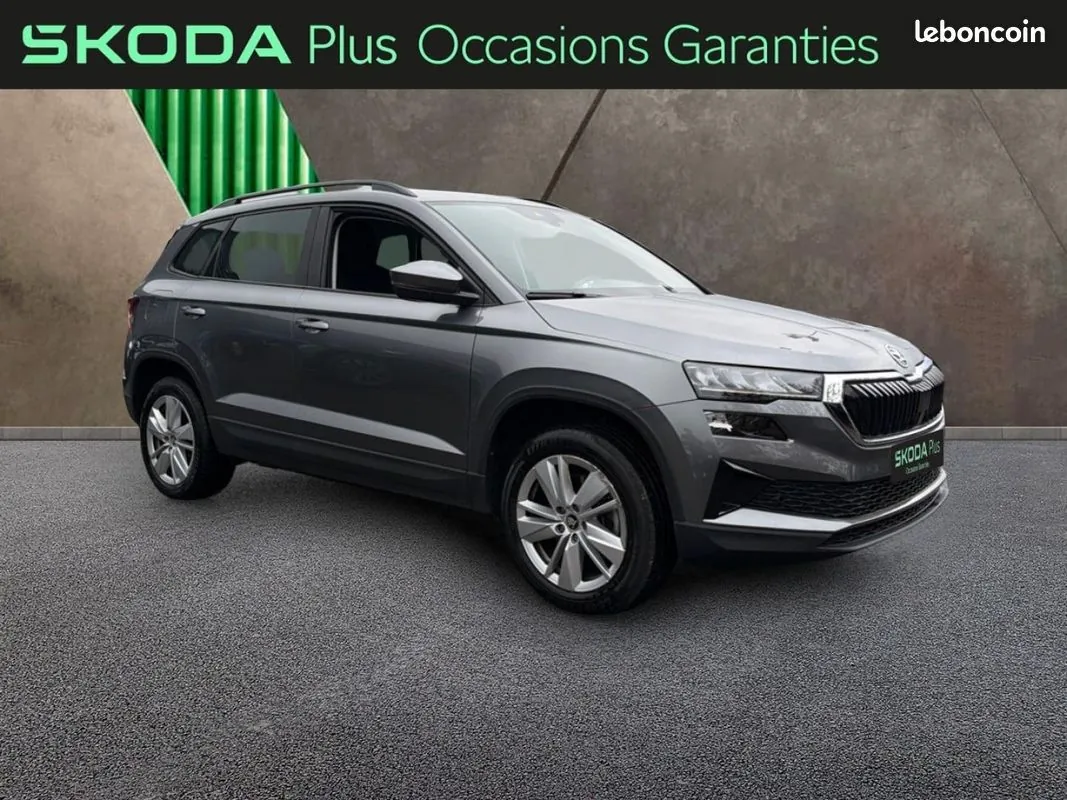Skoda Karoq 2025 photo 4