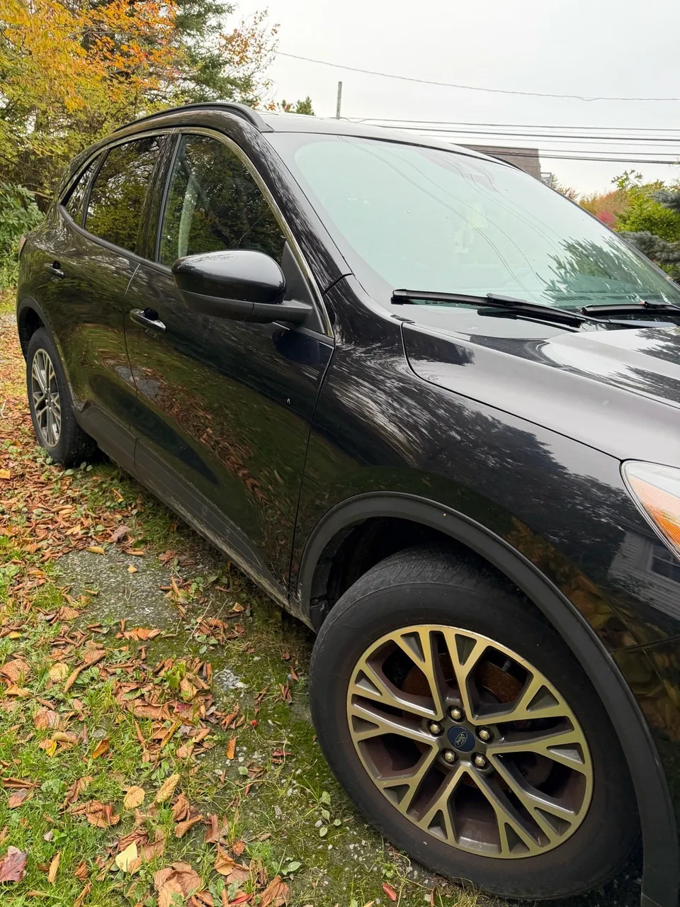 Ford Escape 2020 photo 5
