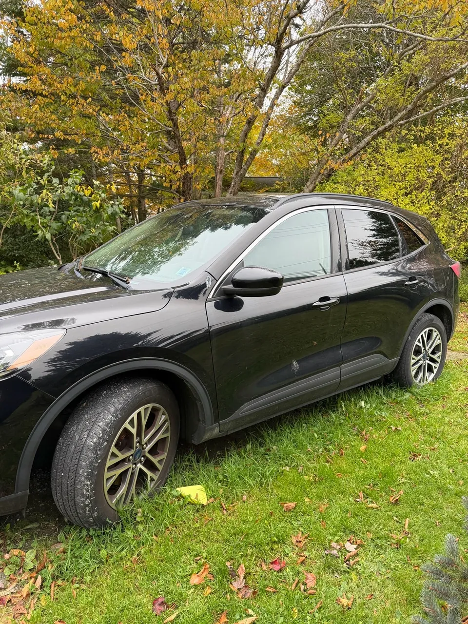 Ford Escape 2020 photo 2