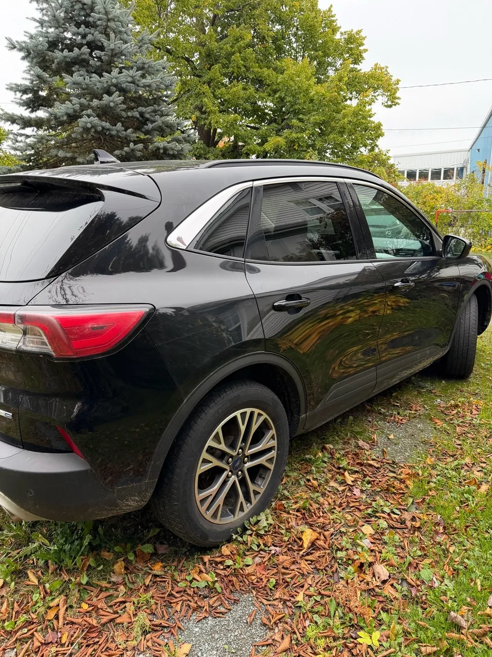 Ford Escape 2020 photo 4