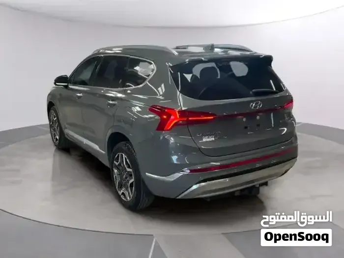 Hyundai Santa Fe 2022 photo 4