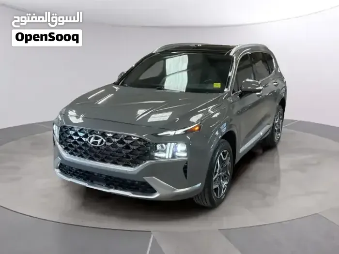 Hyundai Santa Fe 2022 photo 2