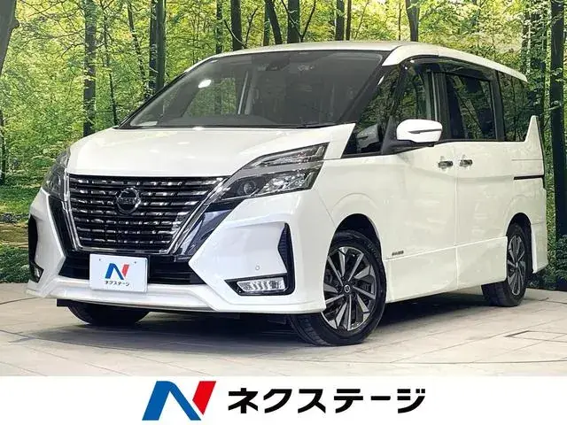 Nissan Safari V