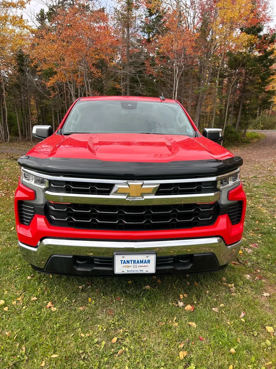 Chevrolet Silverado 1500 2023 photo 2