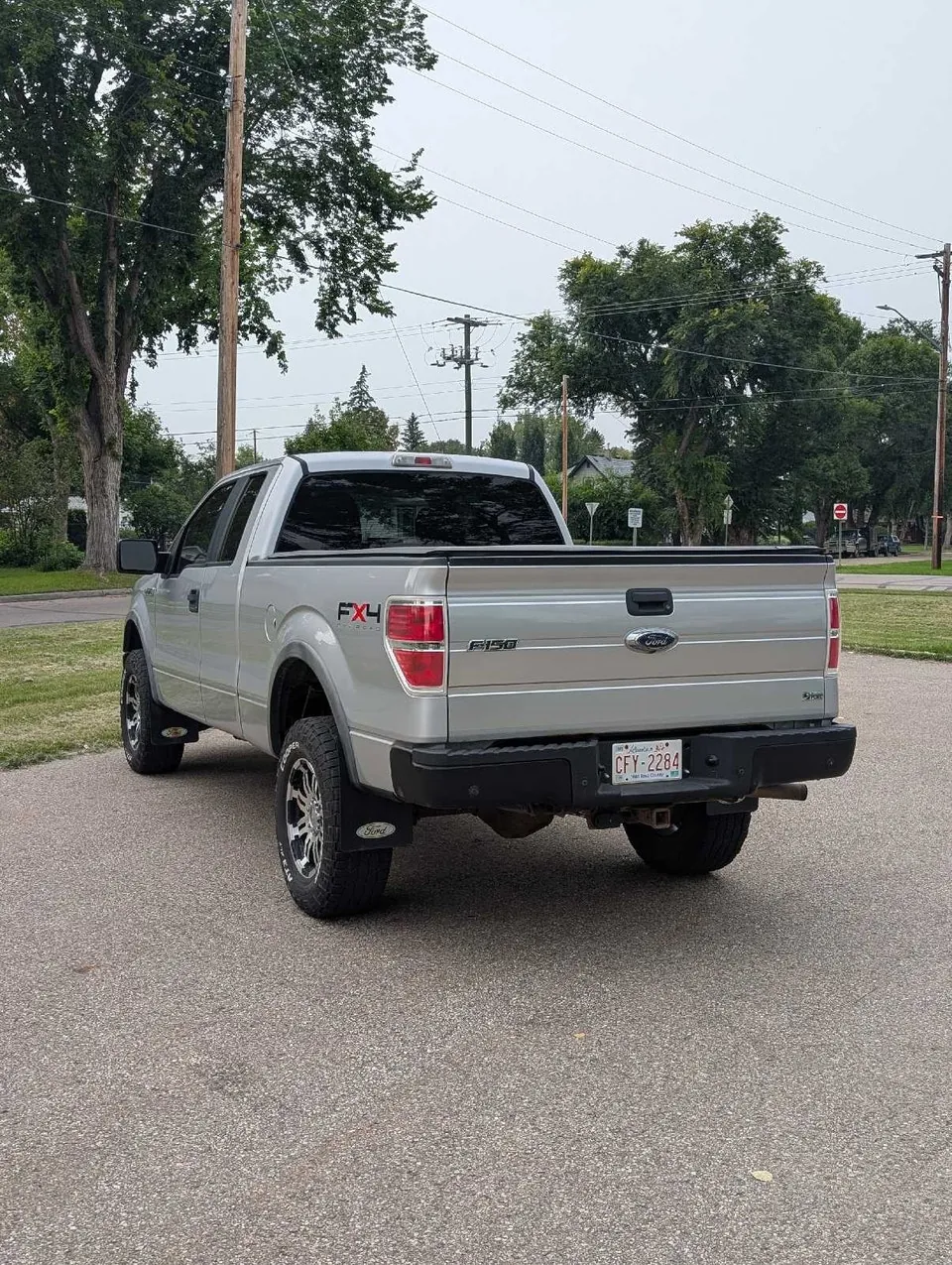 Ford F-150 2010 photo 3
