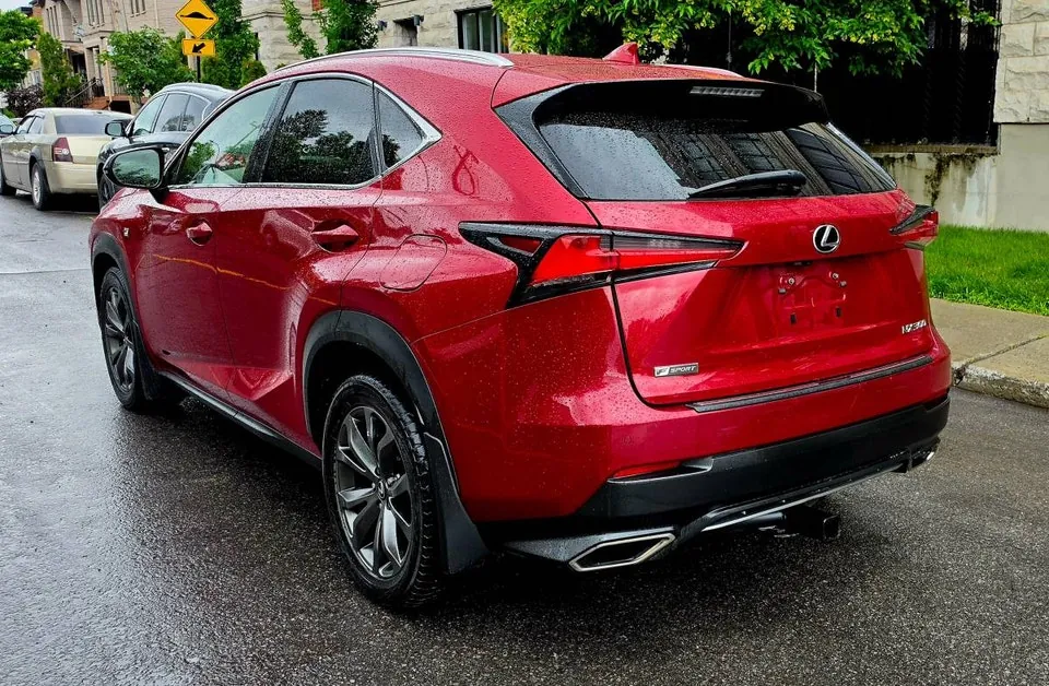 Lexus Nx 300 2020 photo 4