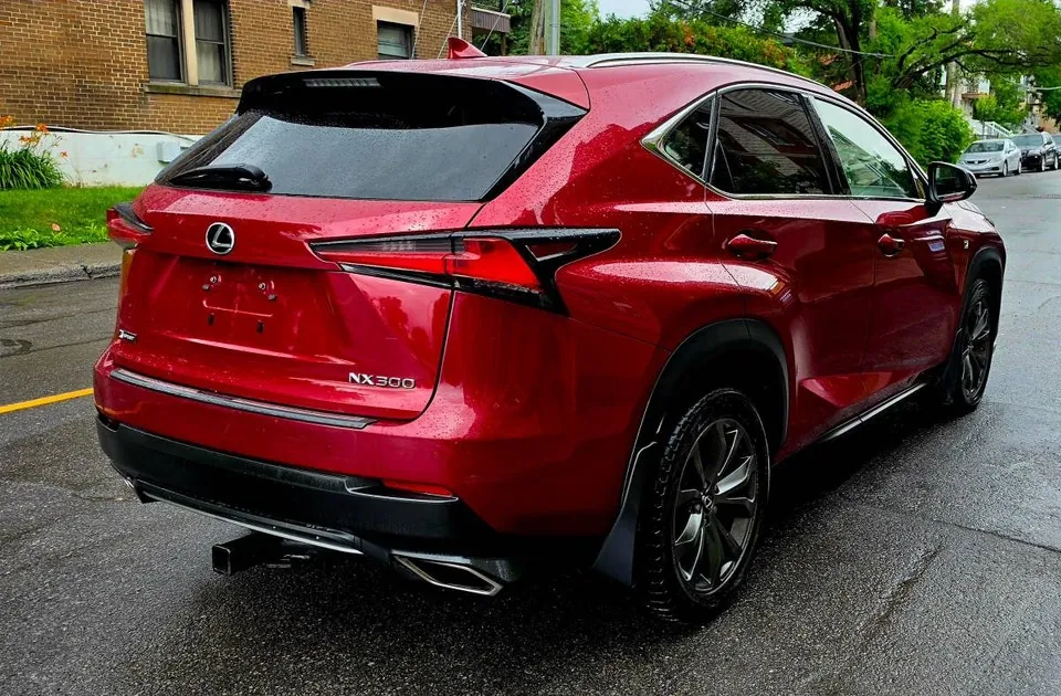 Lexus Nx 300 2020 photo 2