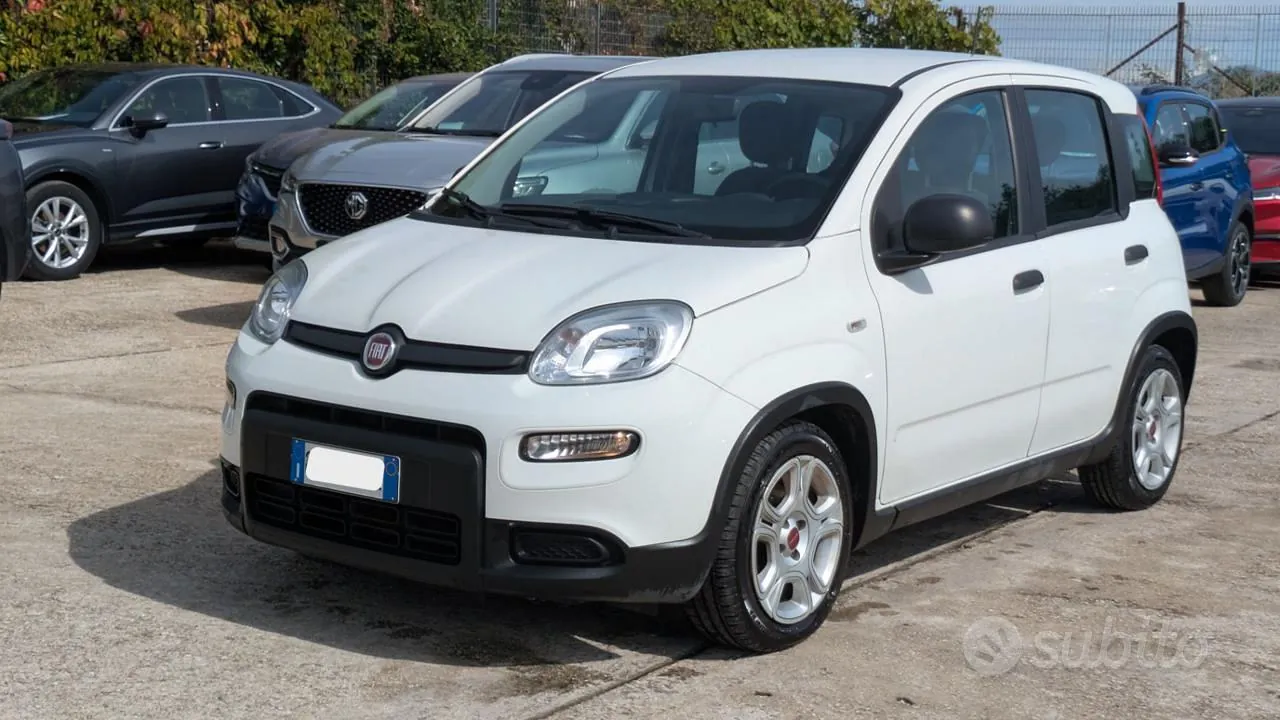 Fiat Panda 2024 photo 2