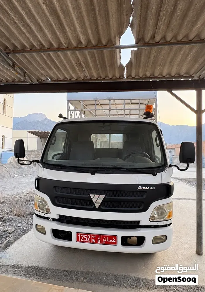 Foton Other