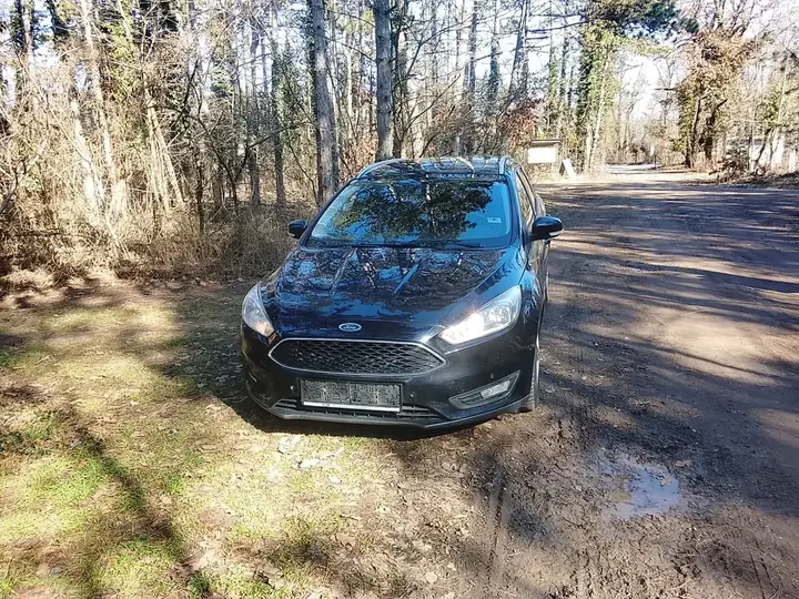 Ford Focus 2015 photo 2