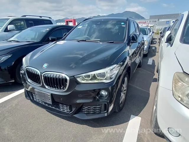 BMW X1 2019 photo 2