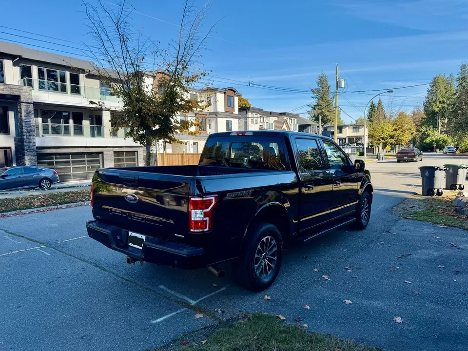 Ford F-150 2019 photo 3