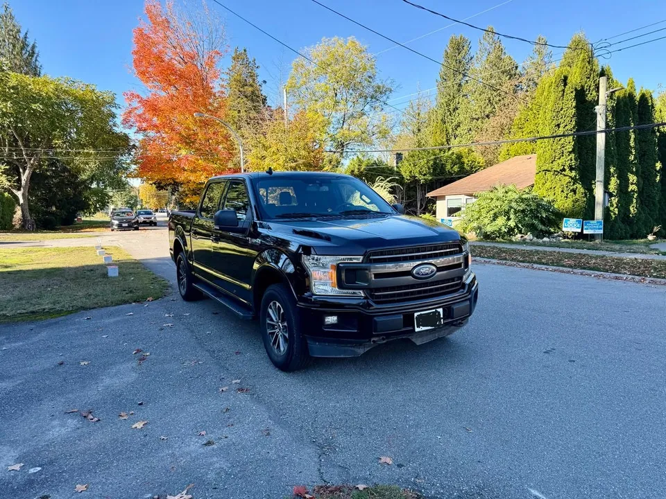 Ford F-150 2019 photo 2