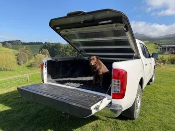 Nissan Navara 2020 photo 3