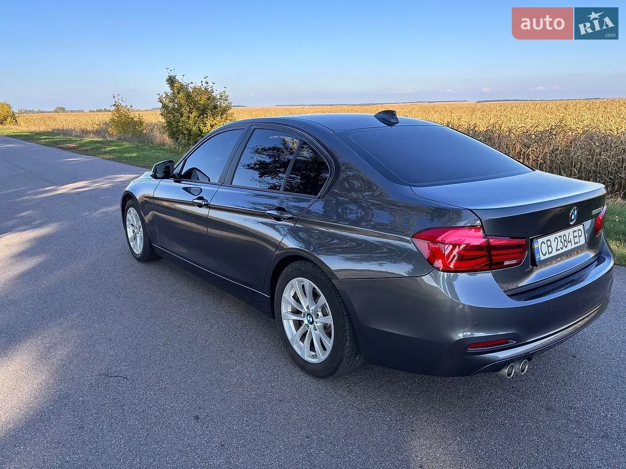 BMW 3 Series 2016 photo 3