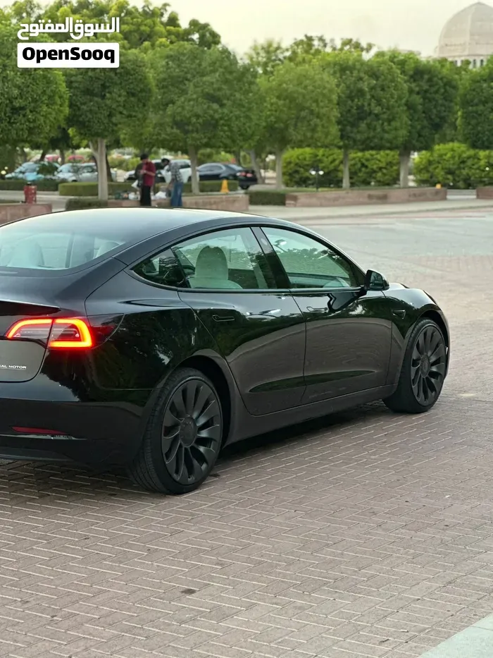 Tesla Model 3 2023 photo 3