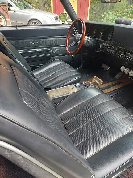 Buick Skylark 1970 photo 5