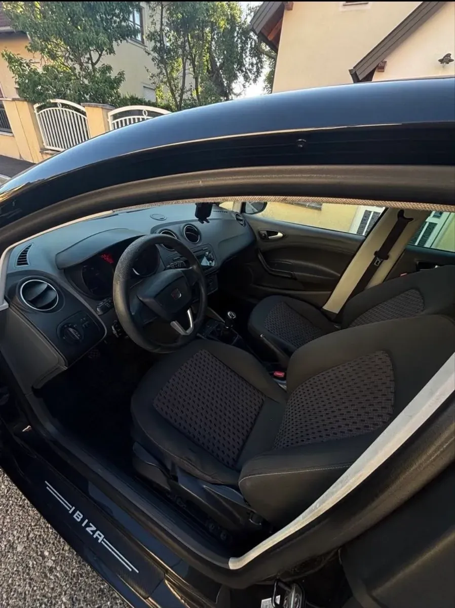 Seat Ibiza 2010 photo 2