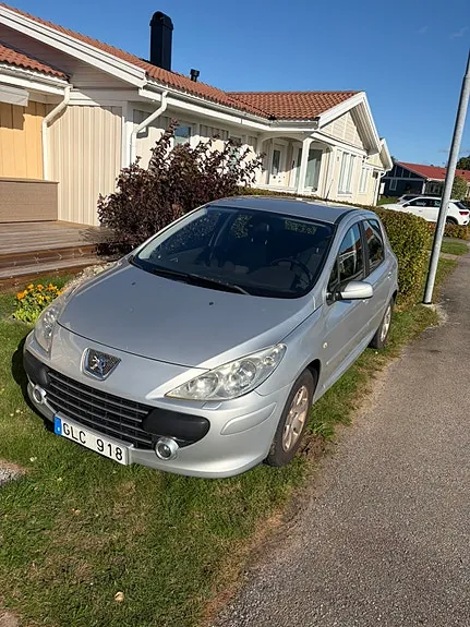 Peugeot 307 2008 photo 2
