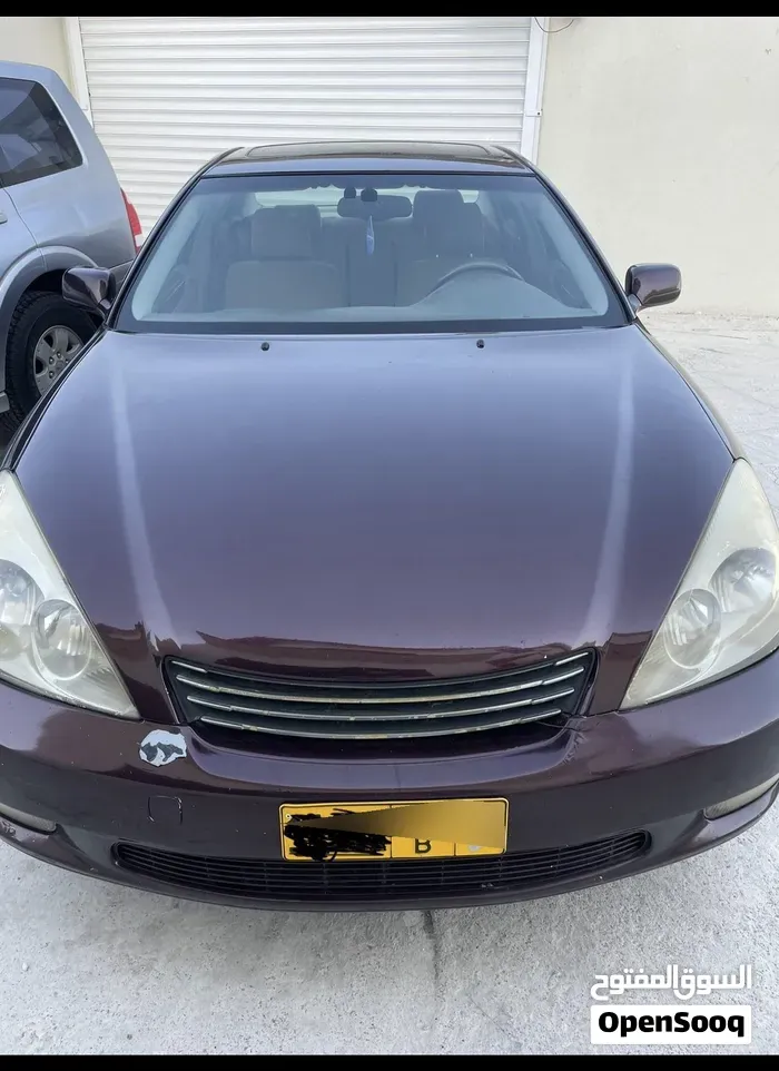 Lexus Es 300 2003 photo 3