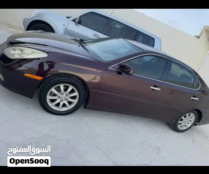 Lexus Es 300 2003 photo 2
