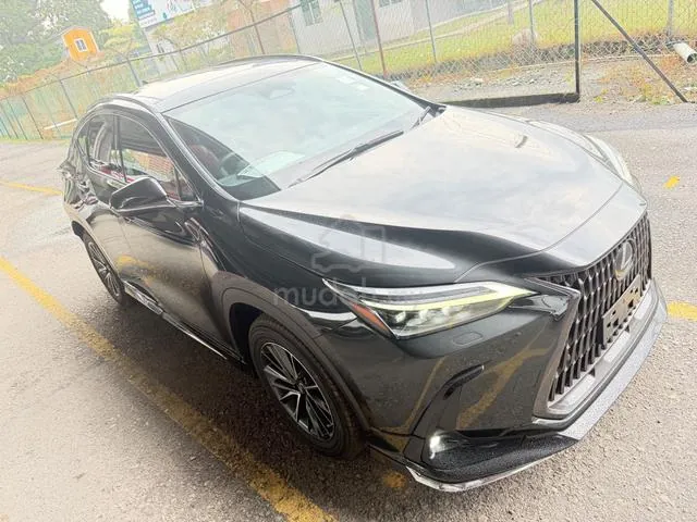 Lexus Nx250