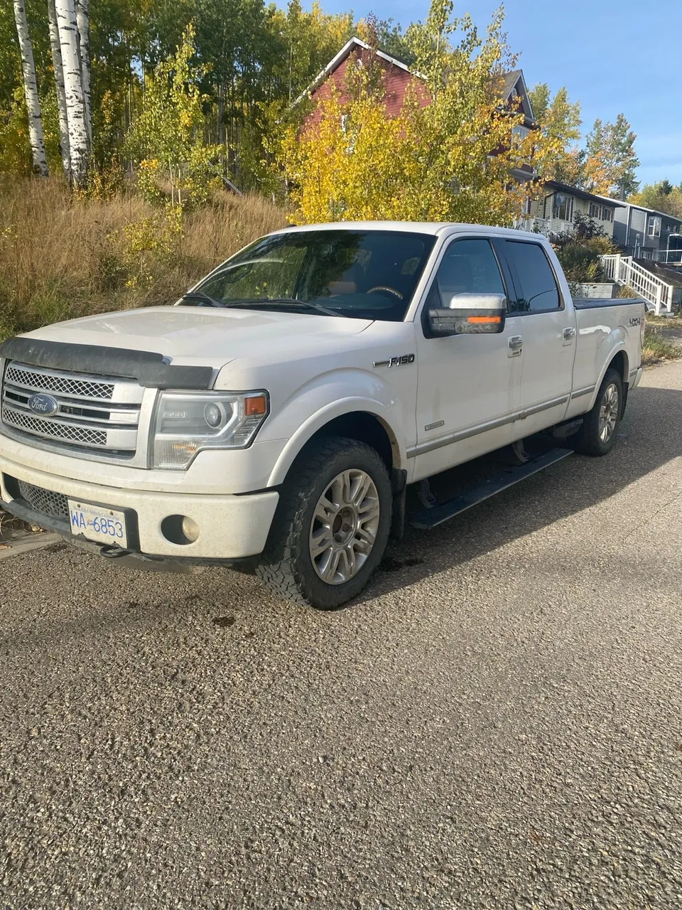 Ford F-150 2013 photo 2