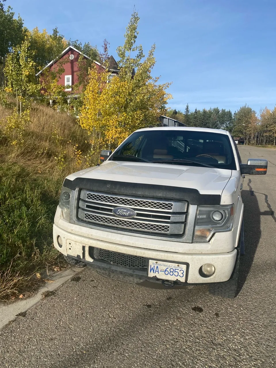 Ford F-150 2013 photo 5