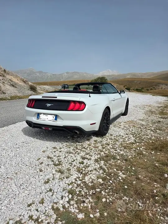 Ford Mustang 2019 photo 2