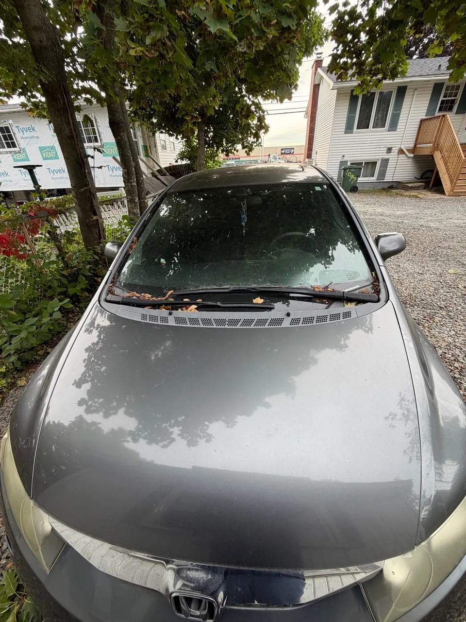 Honda Civic 2008 photo 5